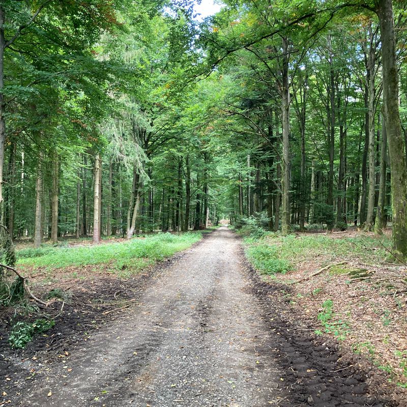 Around Aidenbach