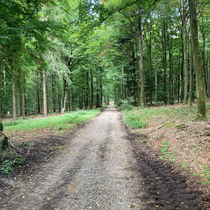 Around Aidenbach