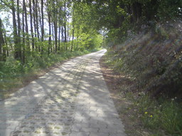 Highlight 48 along the Bikemap route "Barnim Tour"