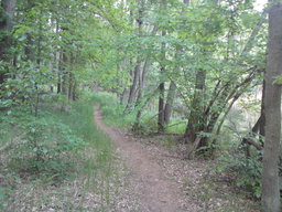 Highlight 21 along the Bikemap route "Barnim Tour"