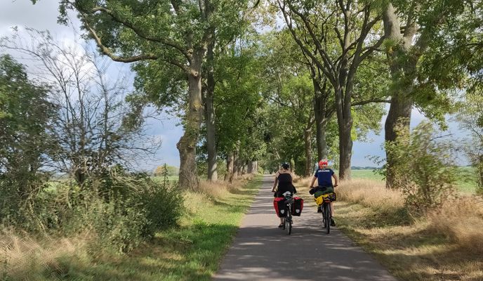 Photo 2 of the Bikemap route "Berlin - Frankfurt 1"