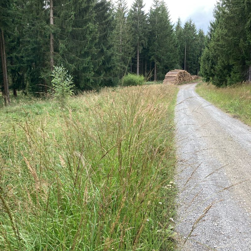 Kehrweg 65, Hildburghausen nach Kehrweg 65, Hildburghausen