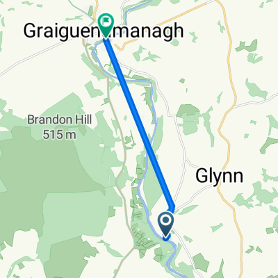St Mullen to Graiguenamanagh via road