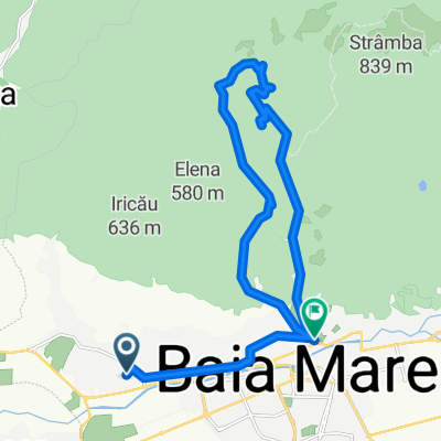Feriga Albastra 1