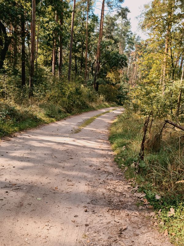 Mickiewicza 15, Góra do Tadeusza Kościuszki 14, Góra