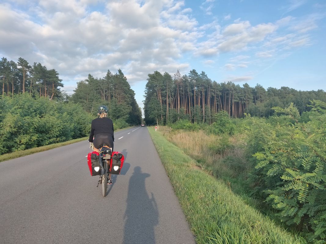 Kłopot to skovcamp
