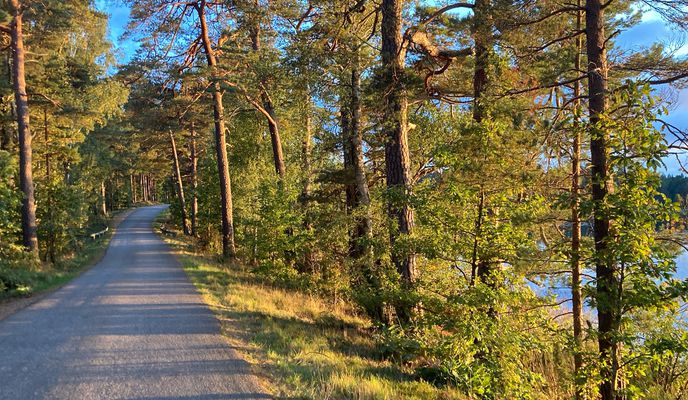 Photo 1 of the Bikemap route "Rundtur Norraryds camping - Ulvö"