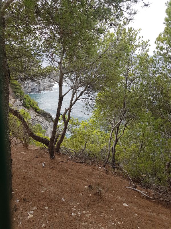 De Corniche Michel Pacha 497, La Seyne-sur-Mer à Corniche Michel Pacha 497, La Seyne-sur-Mer