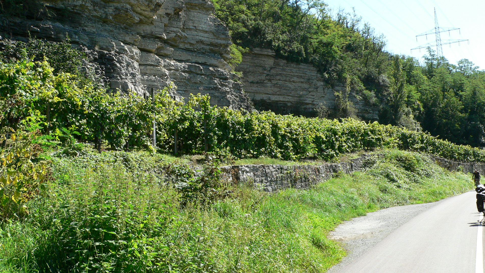 Weinsberg - Lauffen am Neckar