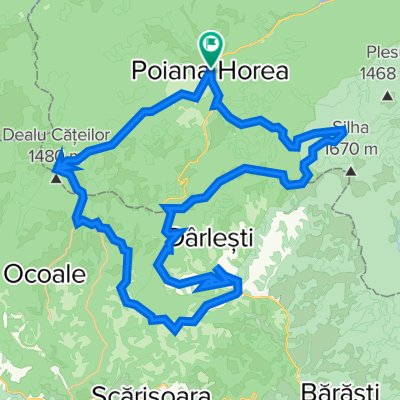 Poiana Horea - Matisesti