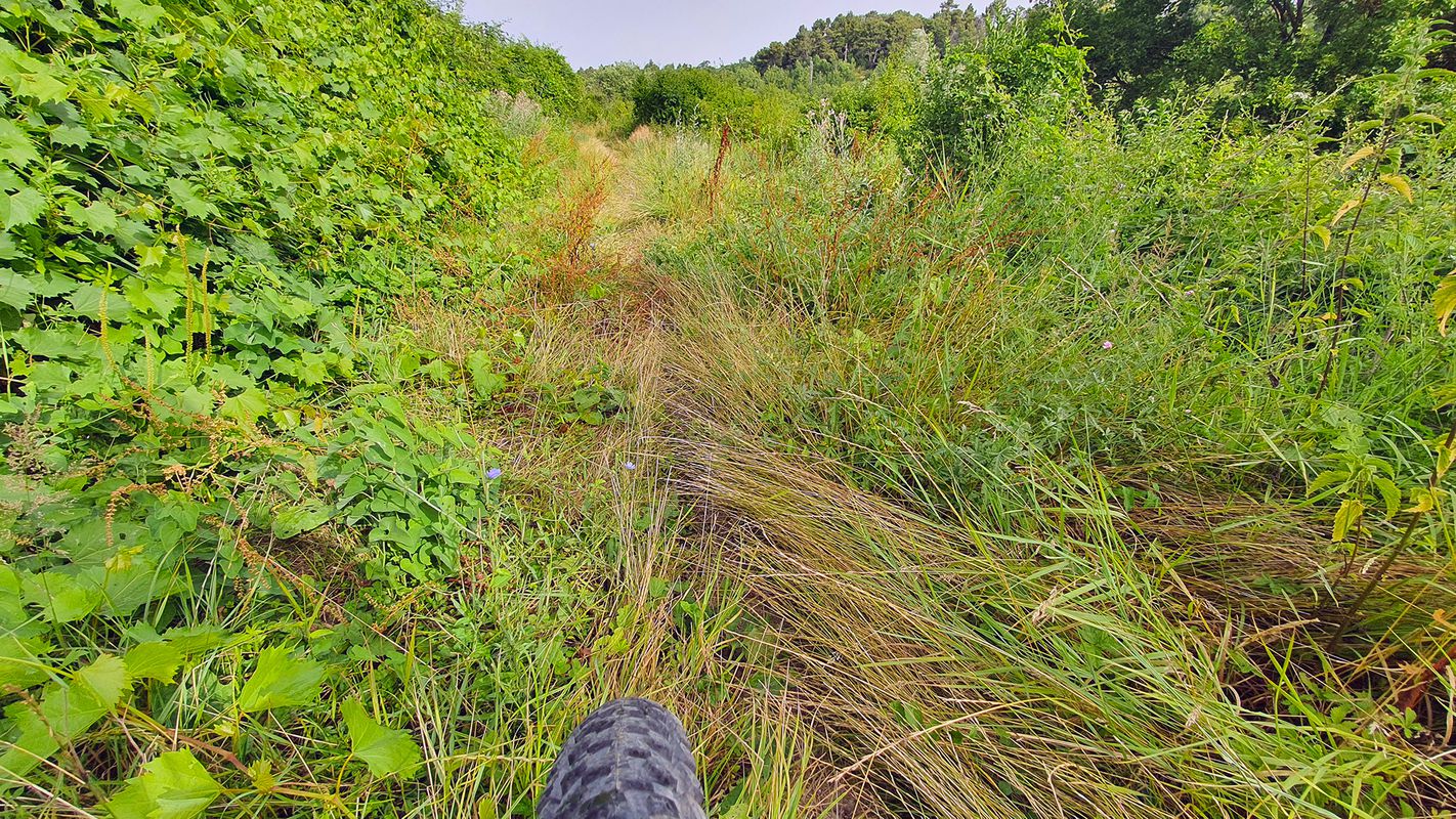 ISTRA MTB Far North