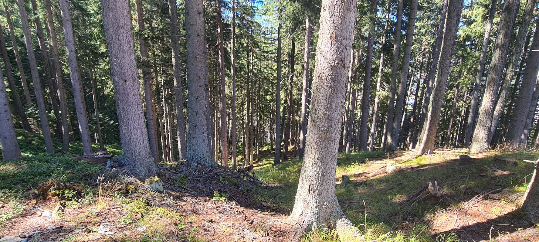 Gleiming 2, Schladming to Gleiming 2, Schladming