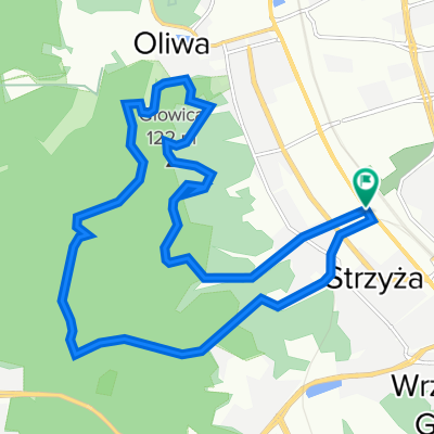 Leśna pętla 1