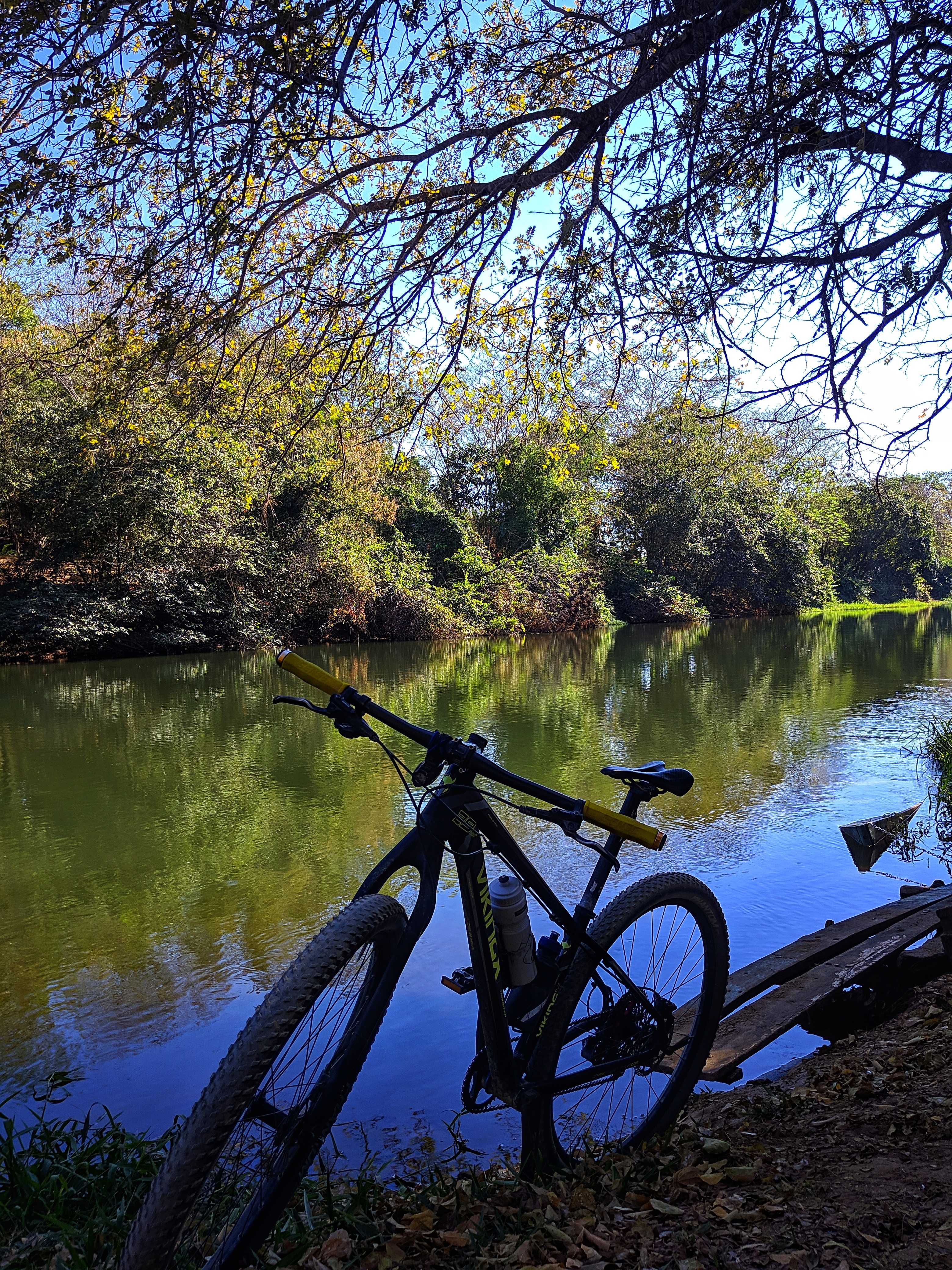Pedal de Domingo