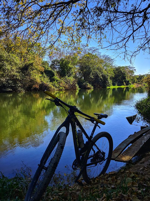 Pedal de Domingo