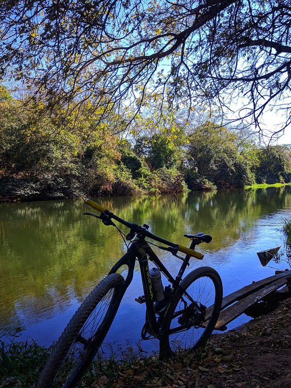 Pedal de Domingo