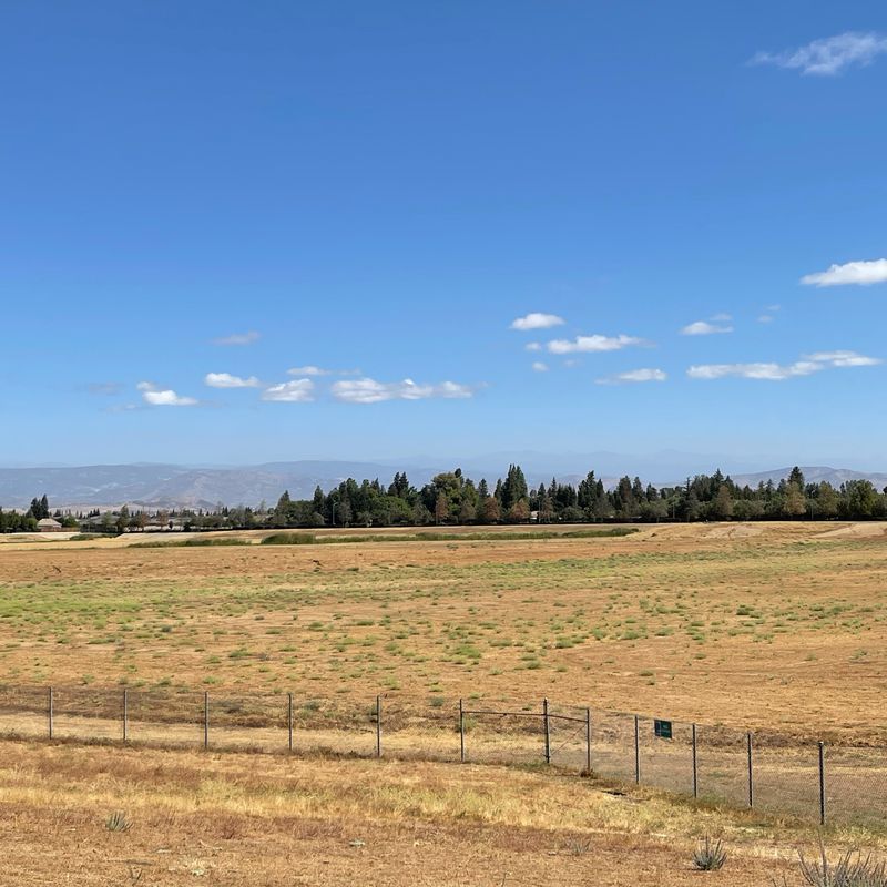 2570 Herndon Ave, Clovis to 2500 Herndon Ave, Clovis