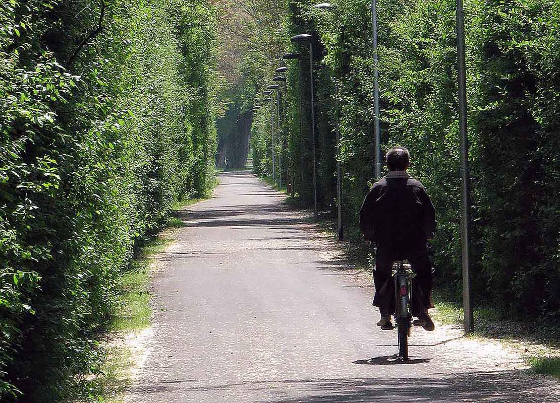 d) Ciclabile ex ferrovia Mirandola Finale Emilia