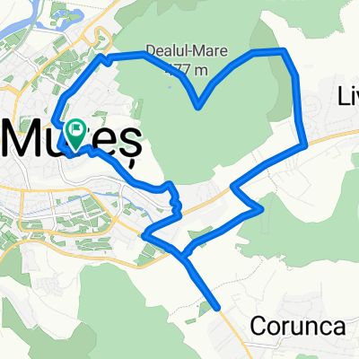 Corunca-Livezeni-Platou-7 Noiembrie