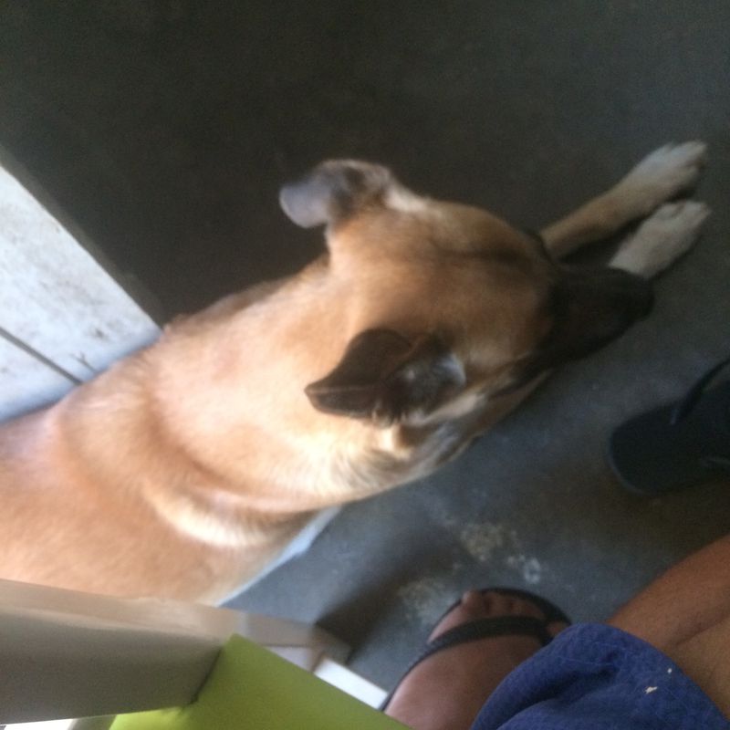 Rota desde Rua Coronel Manoel Alves, 75–125, Agrestina