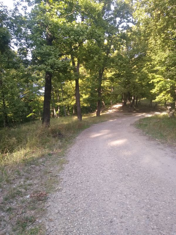 Strada Locotenent Marinescu, Valea Voievozilor to DJ718 212, Viforâta