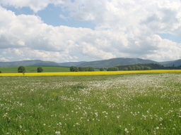 Hebe Bild 1 entlang der Bikemap-Route "Nad Odrę" hervor