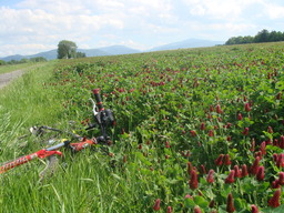 Hebe Bild 4 entlang der Bikemap-Route "Nad Odrę" hervor