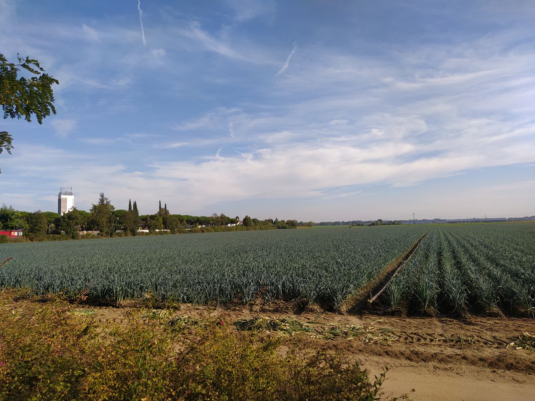 Maudacher Straße 332, Ludwigshafen am Rhein to Ahornweg 23A, Speyer