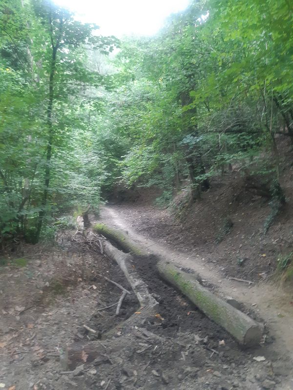 mtb con giro ottolenghi, 100 croci, strada dei colli, bosco delle fate, bric paluch,  insalata.....