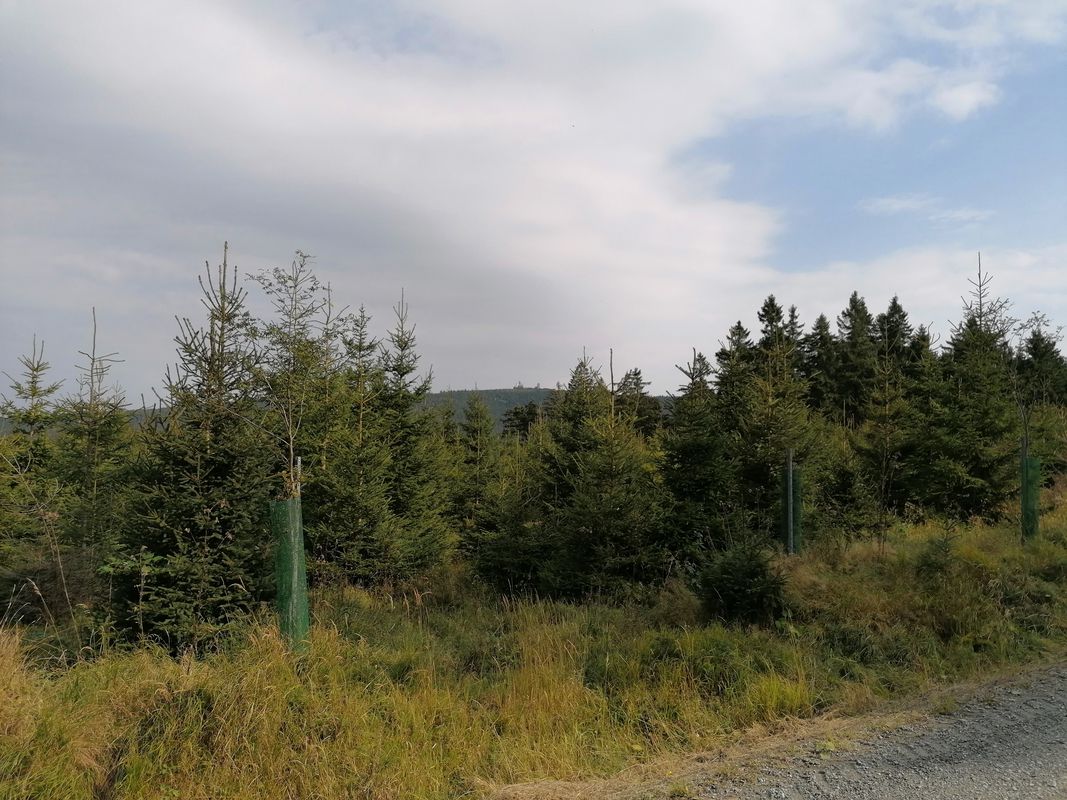 Beethovenstraße 24, Raschau-Markersbach nach Beethovenstraße 24, Raschau-Markersbach