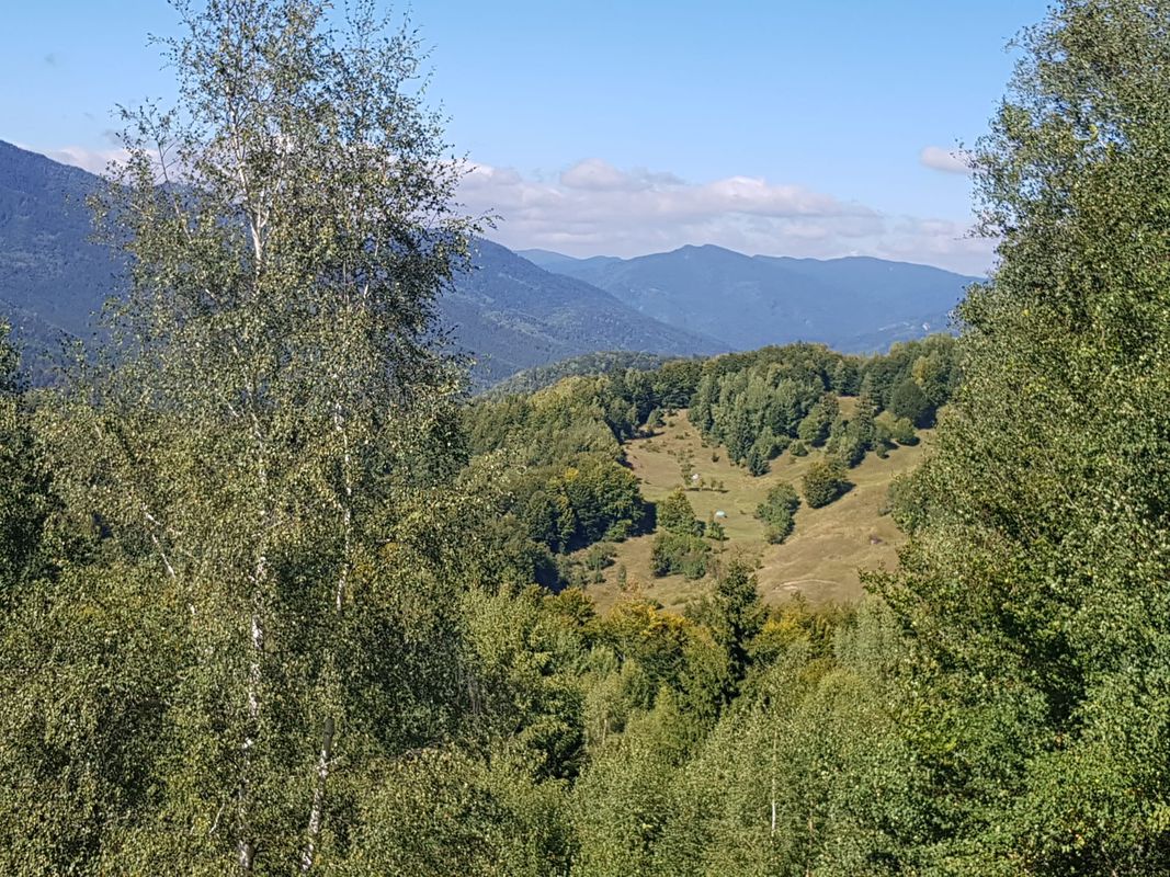 Tura Green Camp, Piatra Mortatului, Plostina, Nemertea, Gura Teghii Cycling
