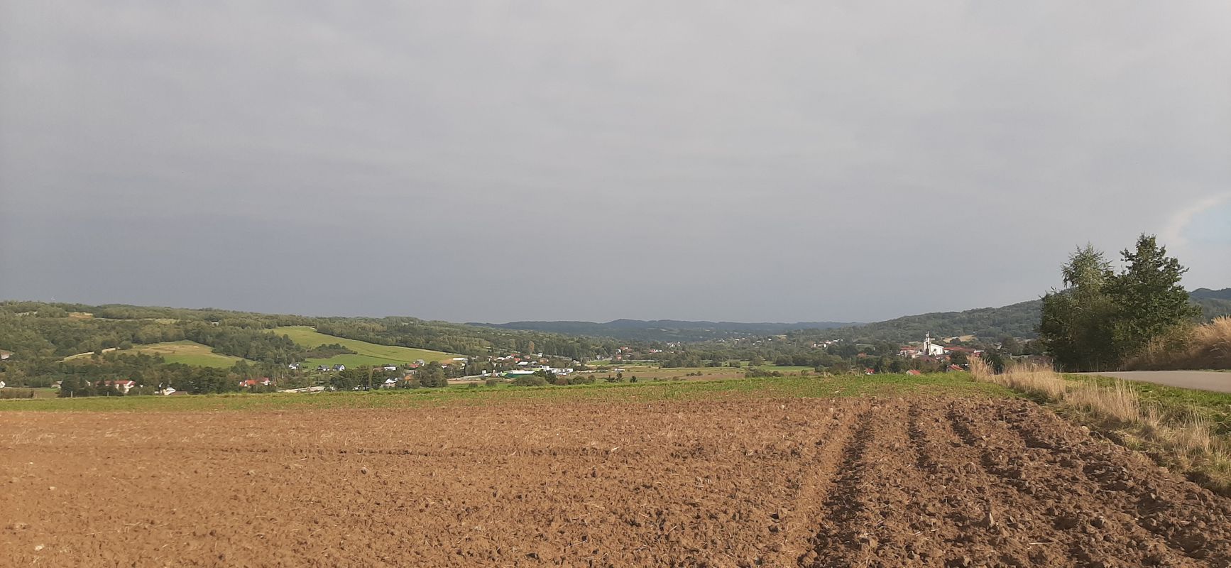 Droga Wojewódzka 886 450, Blizne do Blizne