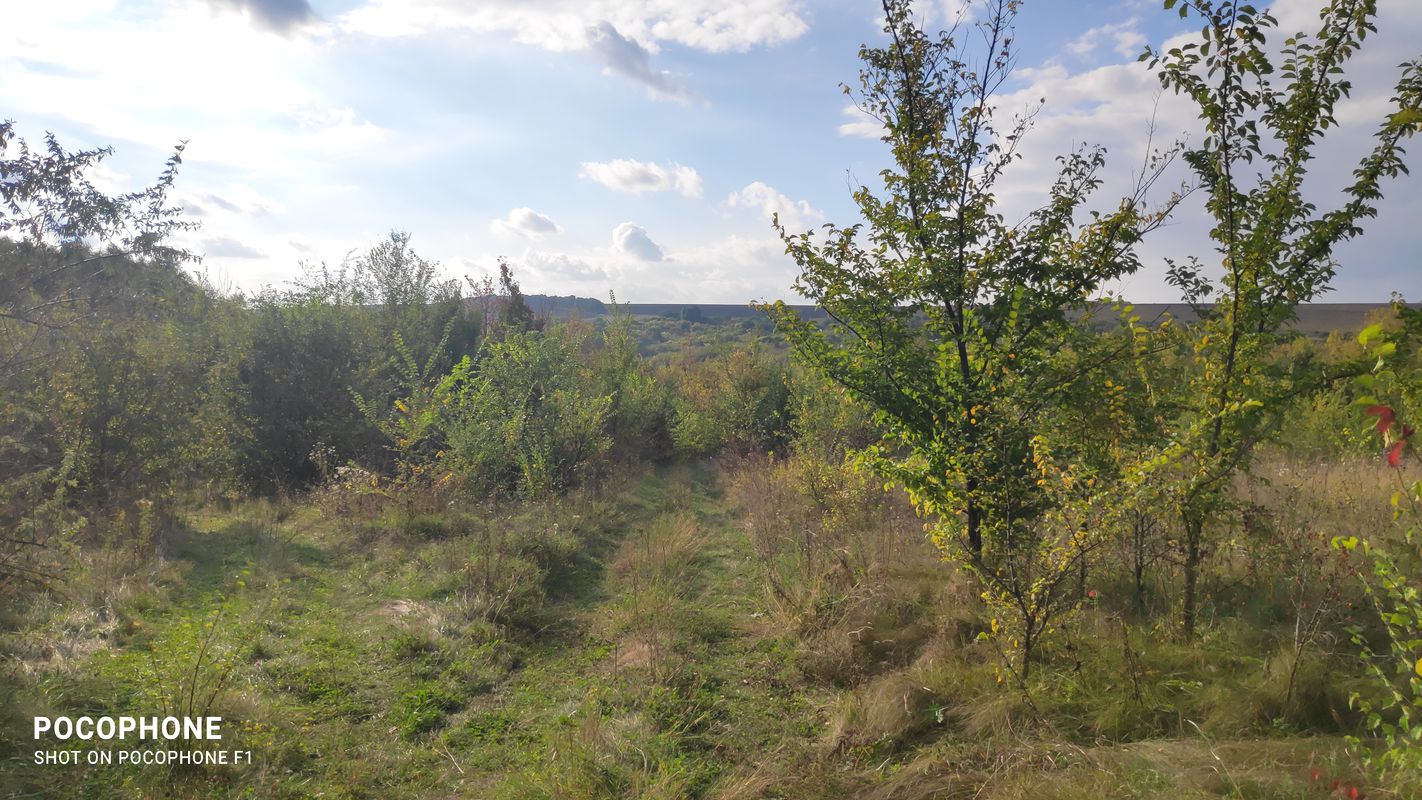 Unnamed Road to вулиця Героїв України 90, Крижопіль