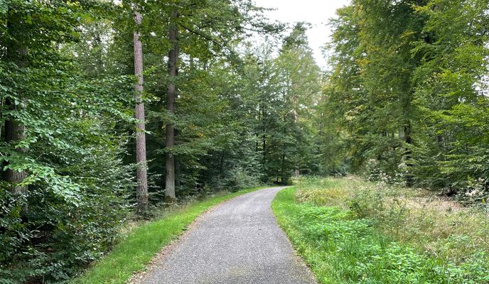 Foto 1 der Bikemap-Route "Möhringen 20km Runde_Waldzentrum Sindelfingen 210hm"