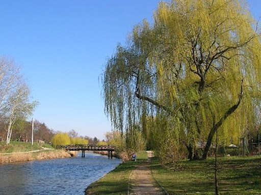 BikeON - Szeged scenic loop