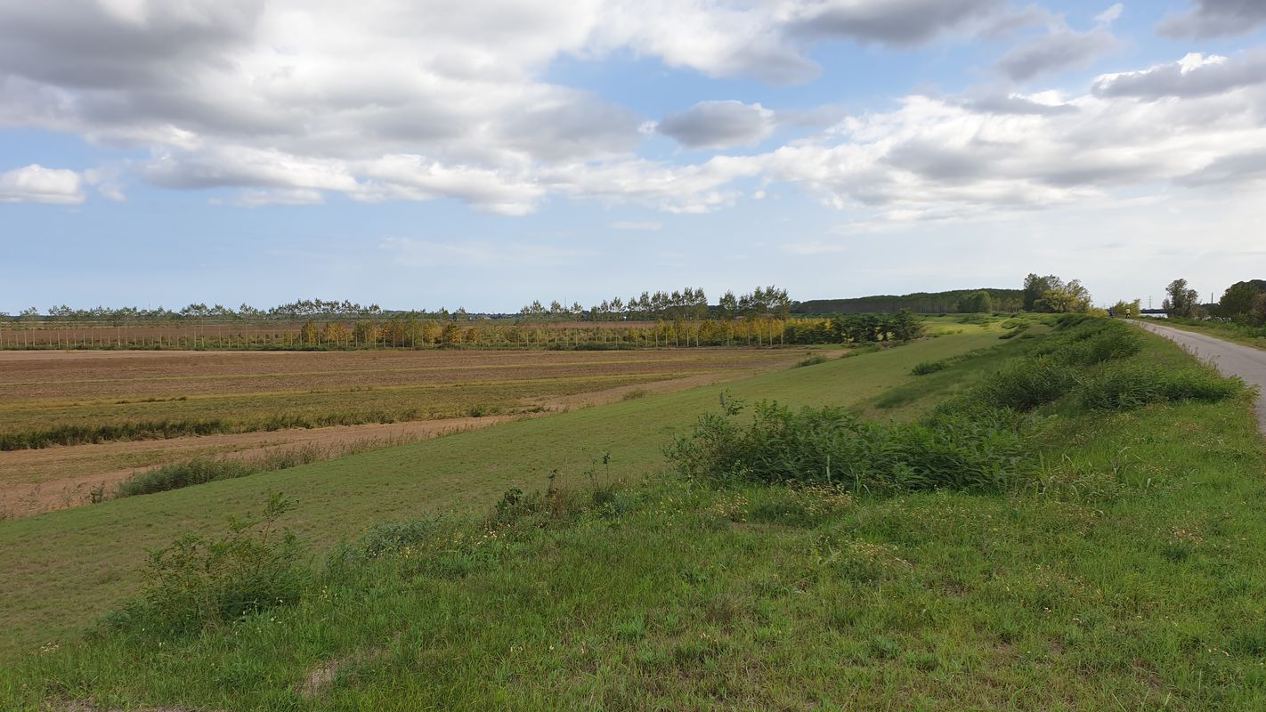 Delta river Po