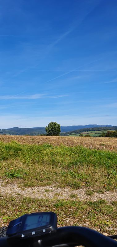 Am Bienrain , Sinntal nach Am Bienrain , Sinntal