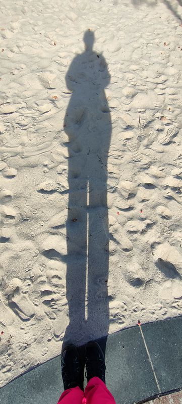 Rosenfelder Strand nach Dahme und zurück