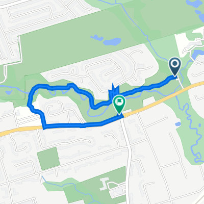 Pomona Mills Park - forest bathing