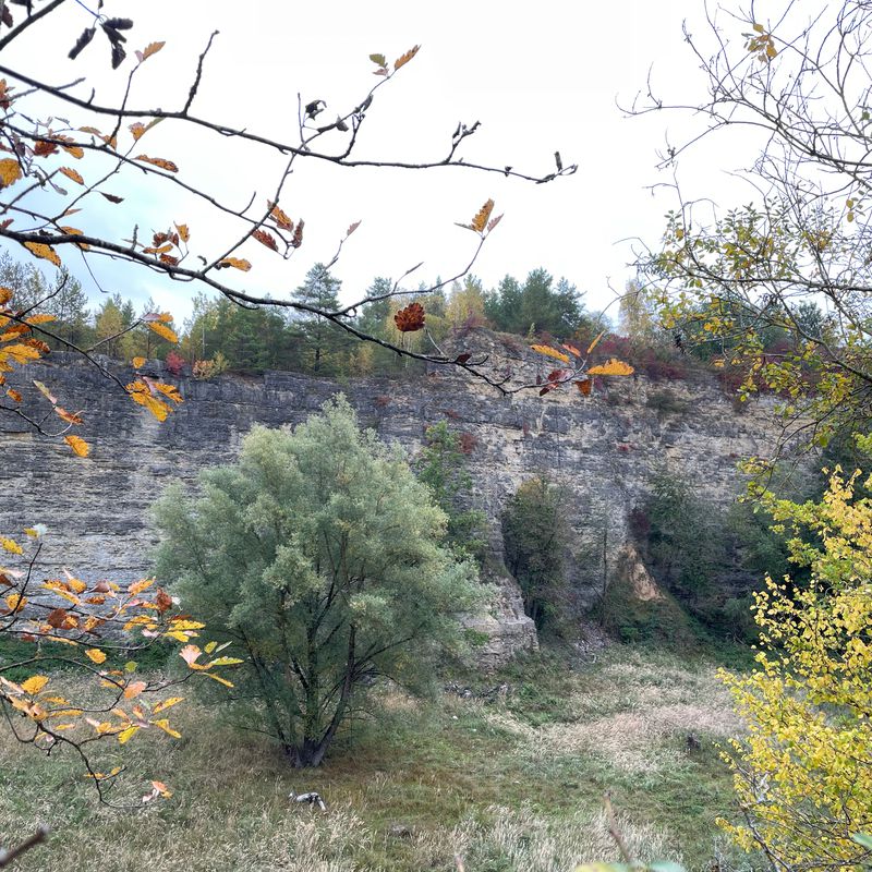 Möhringen 49km Mitte BW_Maichingen Dagersheim Böblingen Römerstr. 490hm