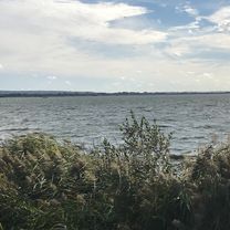 Foto 7 der Bikemap-Route "Arnings Hof 9/002, Lembruch nach Götkers Hof 2B, Lembruch"