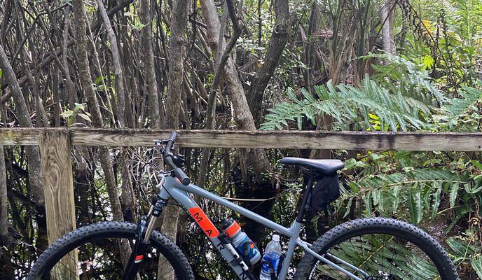 Photo 1 of the Bikemap route "De Parque Ecuestre a Canovanas, Loiza y Rio Grande hasta punta Las Picuas"