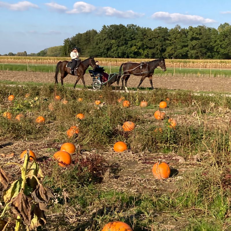 Ringstraße 6, Dachau nach Rosenstraße 3–7, Dachau