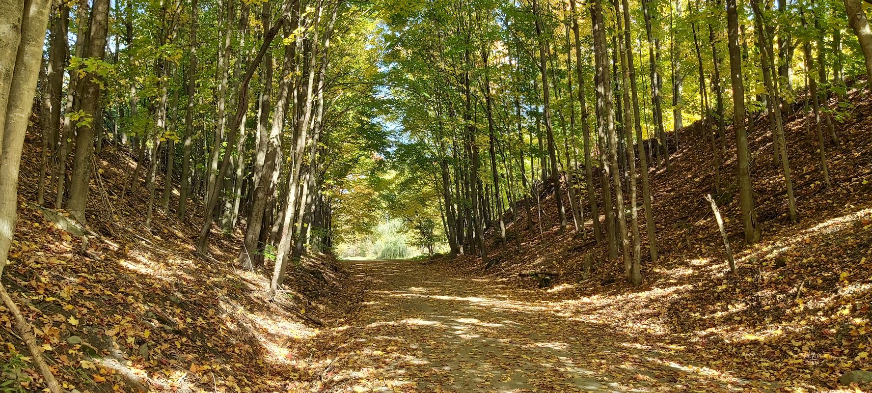 Route Verte 1, La Haute-Yamaska to Québec 215 21, Knowlton