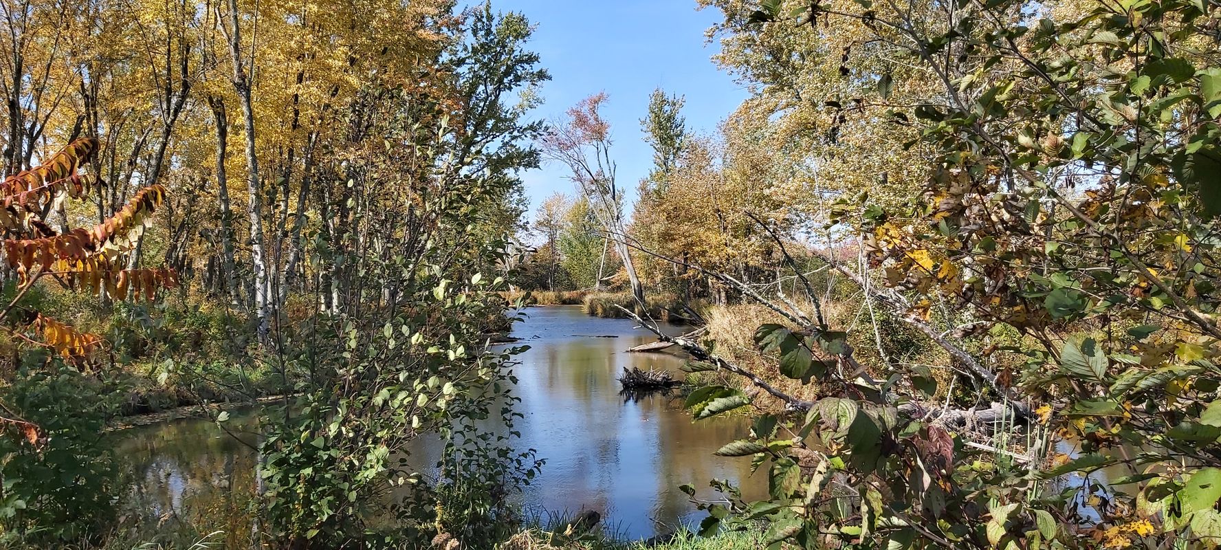 Route Verte 1, La Haute-Yamaska to Québec 215 21, Knowlton