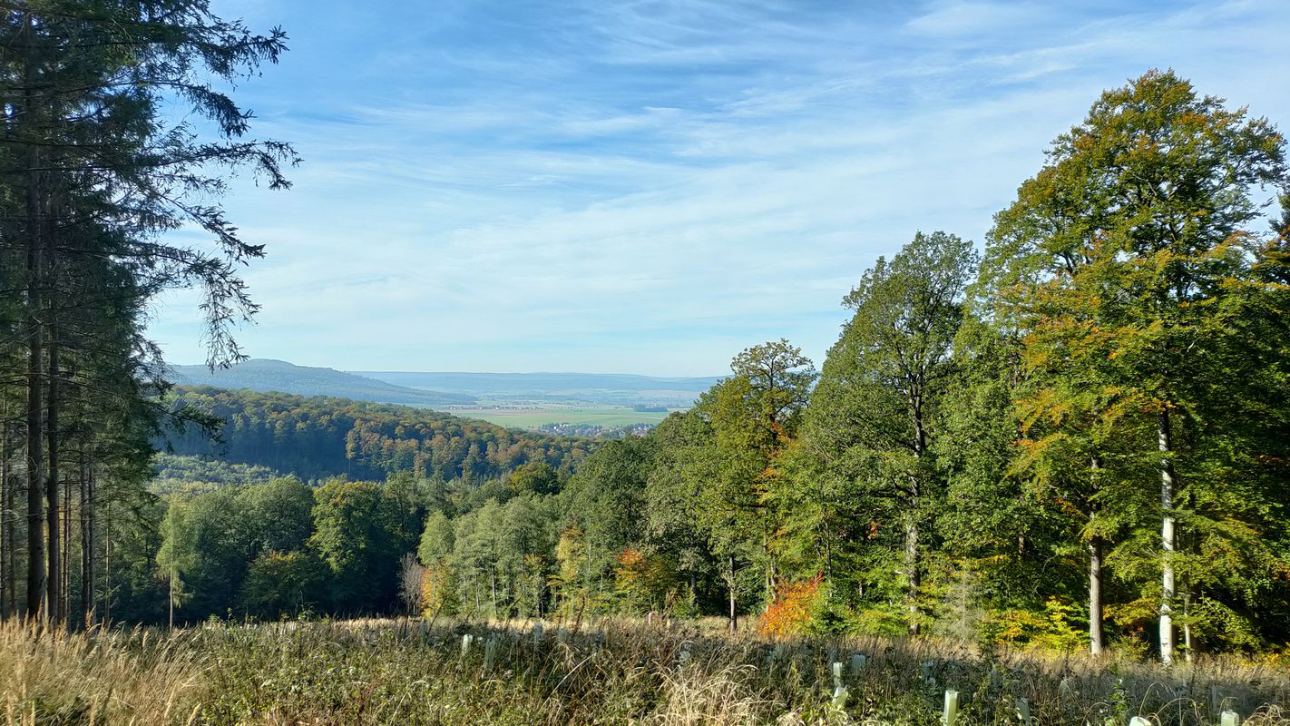Angersieksweg 3, Despetal nach Angersieksweg 3, Despetal