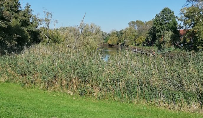 Zdjęcie 2 trasy Bikemap „Lemwerder Fähranleger nach Lesumbroker Landstraße 151, Bremen”