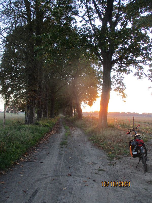 Pętla Goleniów-Dobrosławiec-Tarnowo