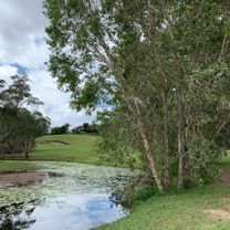 Labrador, Paradise Point, hope Island, Arundel loop