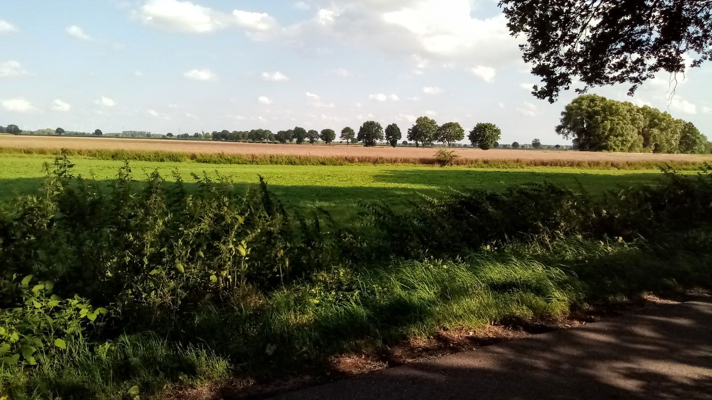 Talstraße , Bassum nach , Morsum -Thedinghausen